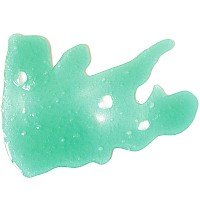 3310as240_attivatore_slime_sicuro_primo_morocolor_bambine_colla_verde.200x0.jpg