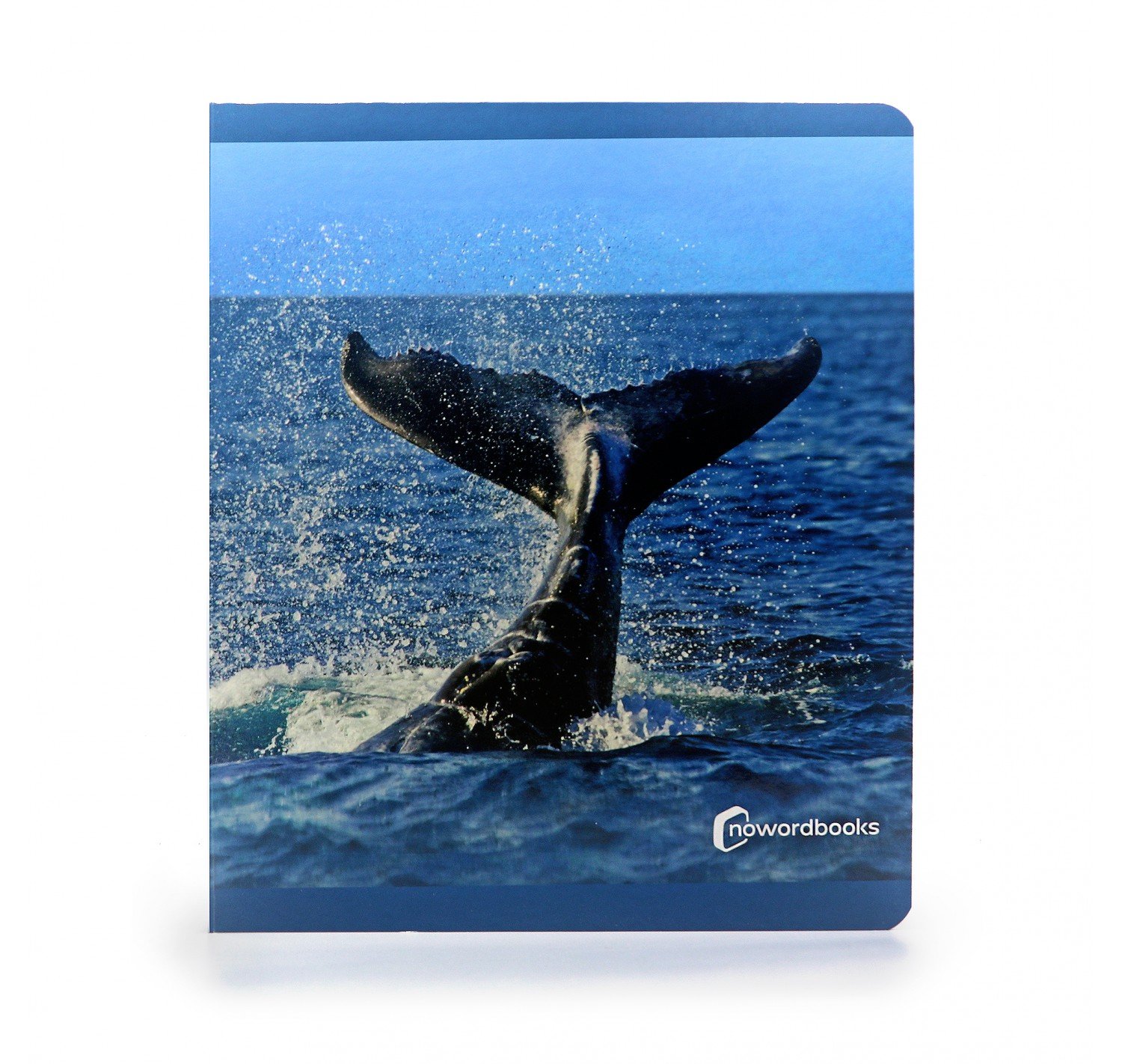 los-animales-del-mar-gran-formato.jpg