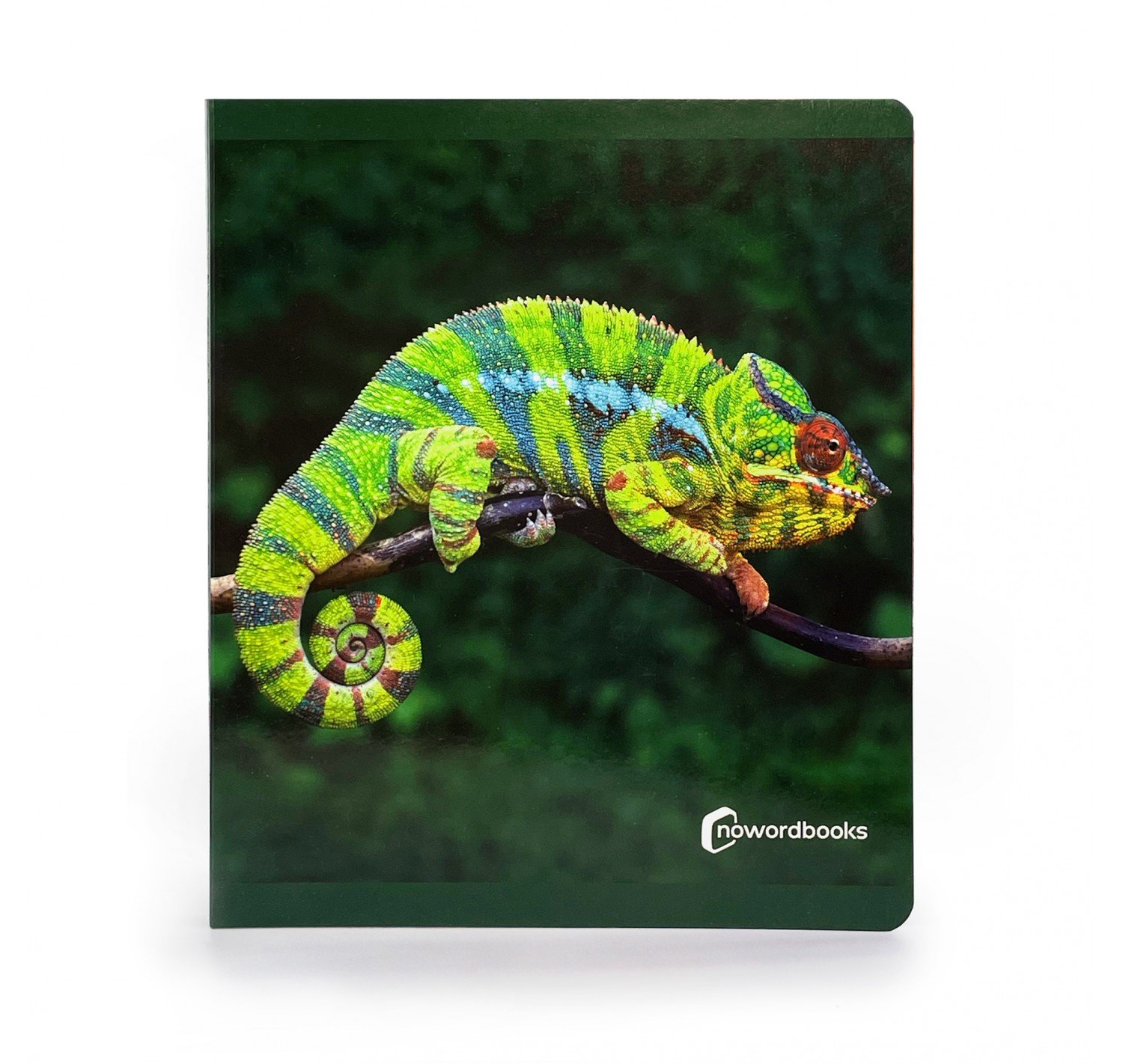 los-animales-de-la-selva-gran-formato.jpg